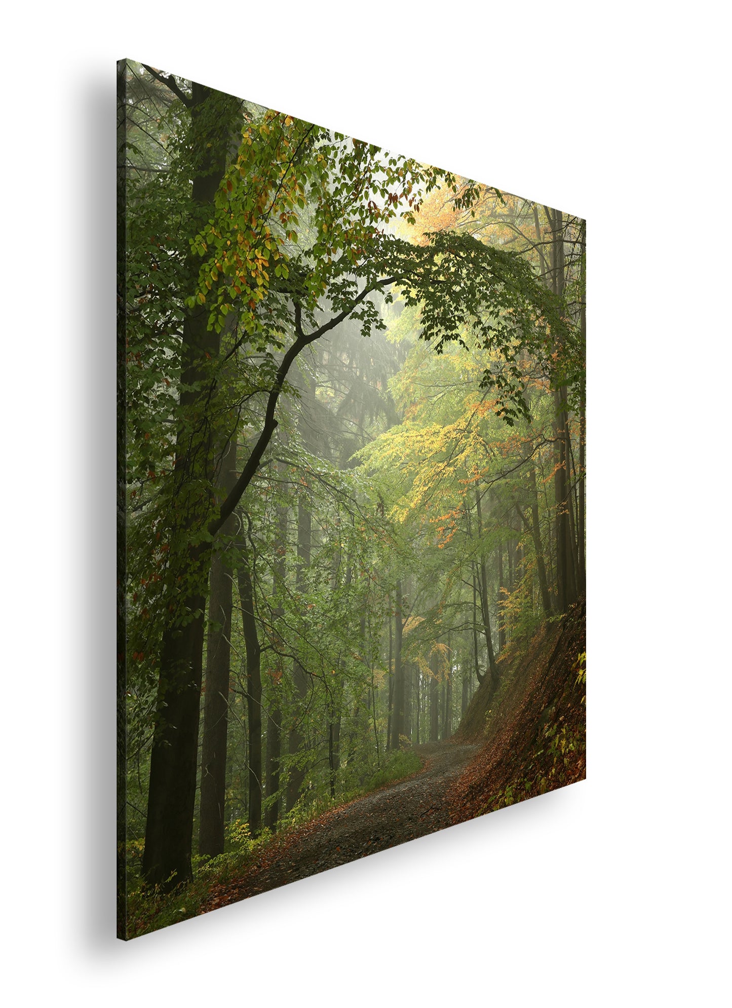 Hauptbild Farbig Quadratisch