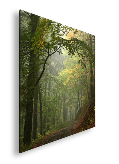 Hauptbild Farbig Quadratisch