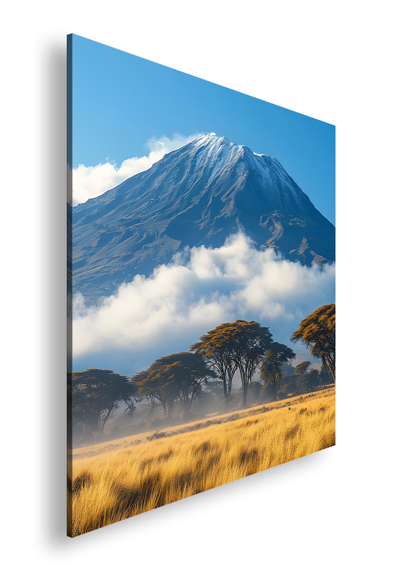 Hauptbild Farbig Quadratisch