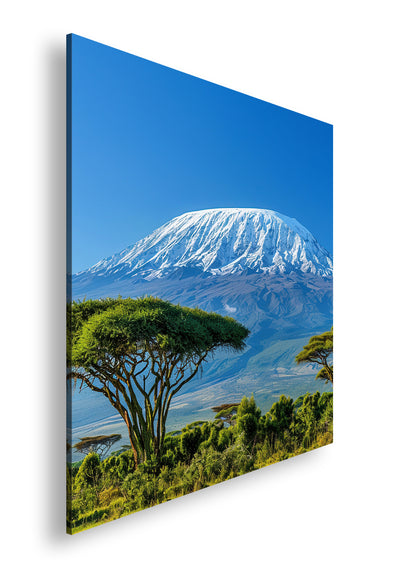 Hauptbild Farbig Quadratisch