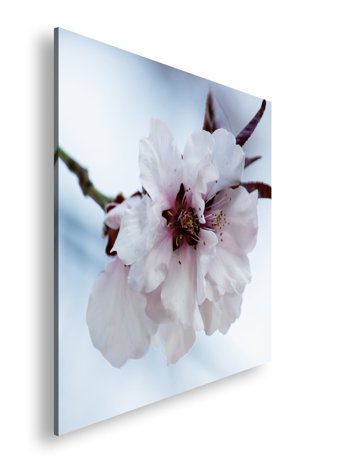 Hauptbild Farbig Quadratisch