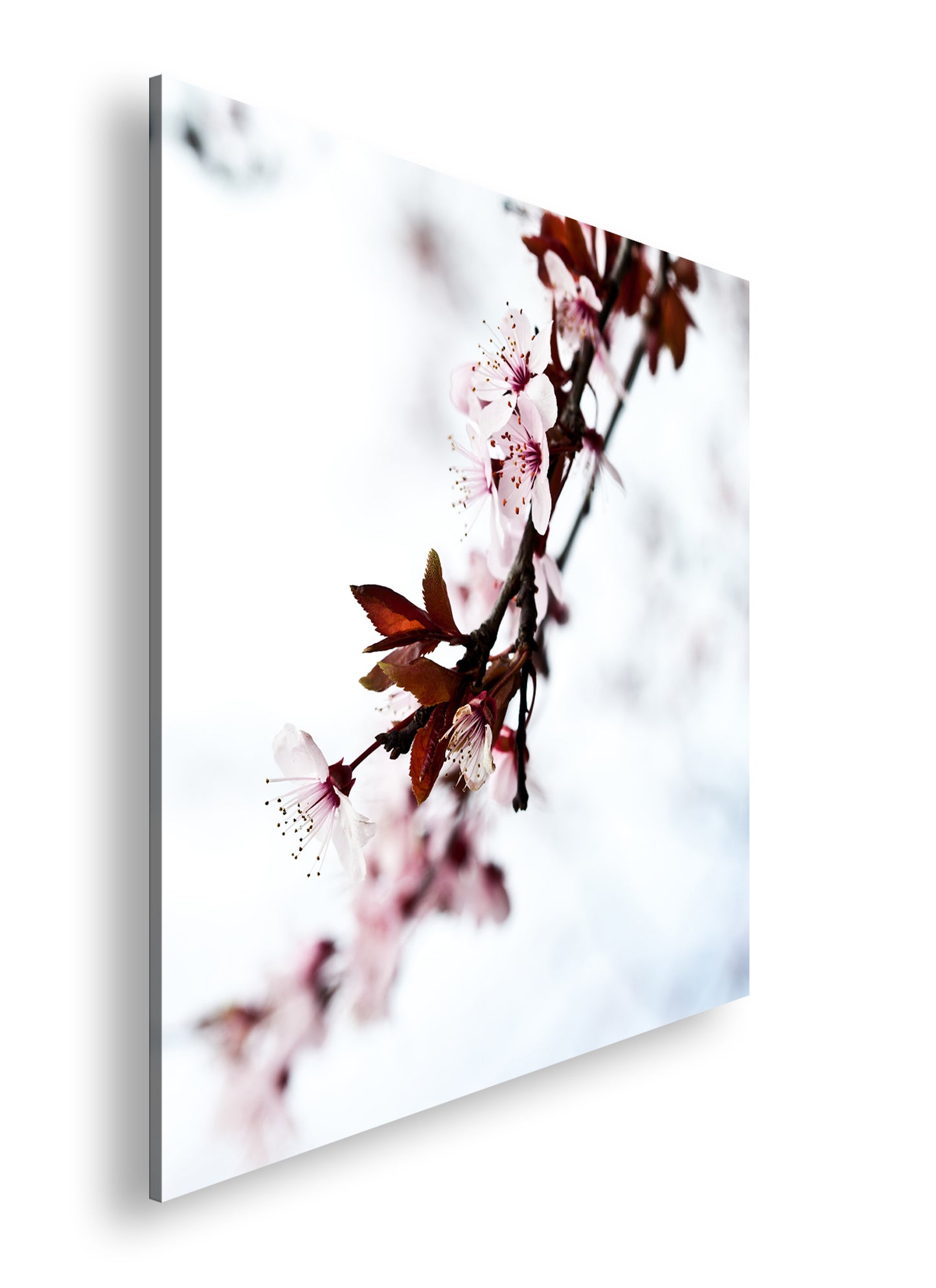 Hauptbild Farbig Quadratisch