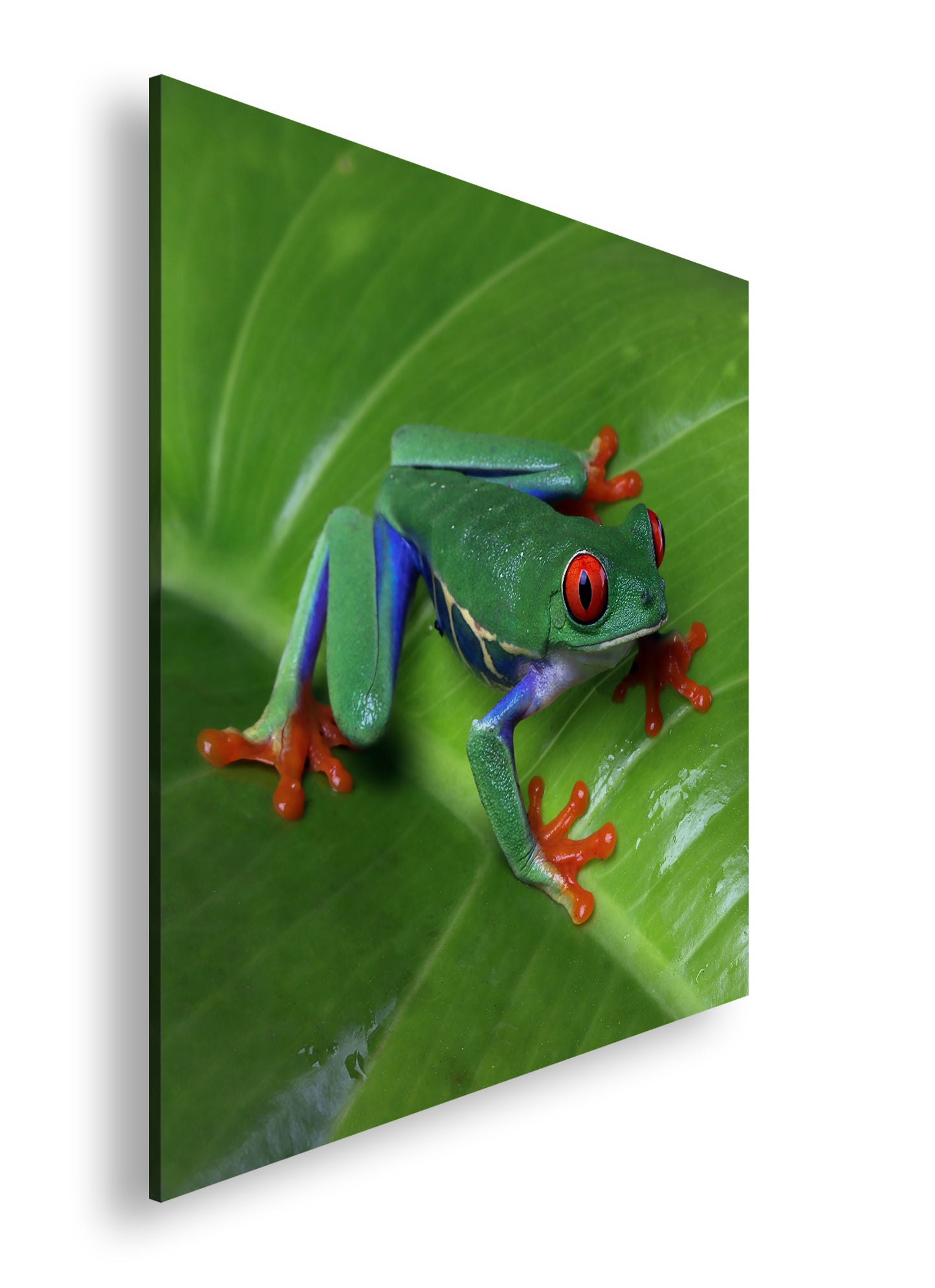 Hauptbild Farbig Quadratisch