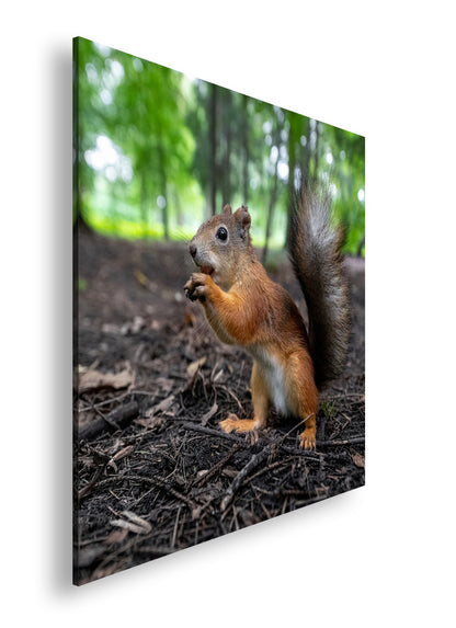 Hauptbild Farbig Quadratisch