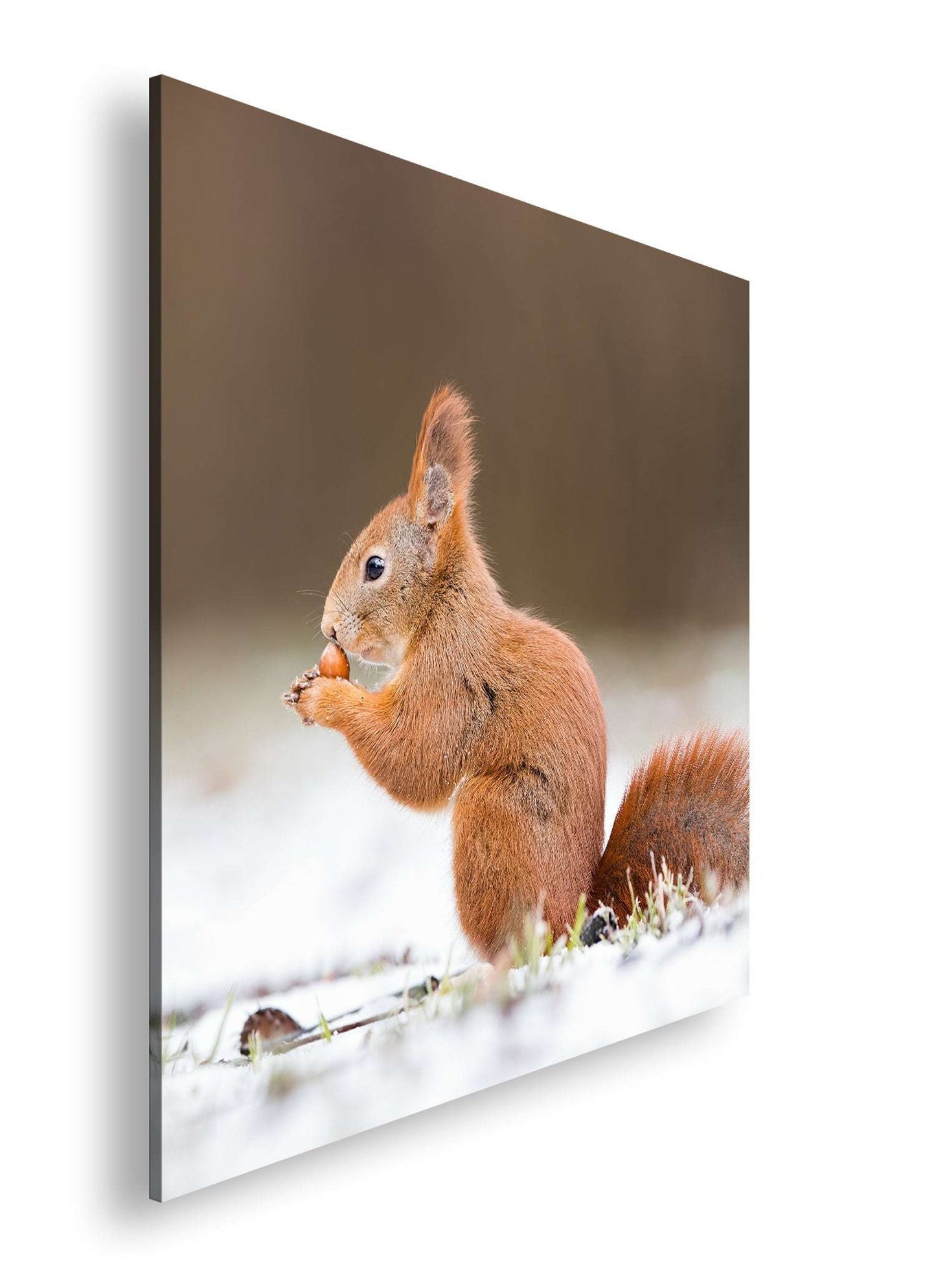 Hauptbild Farbig Quadratisch