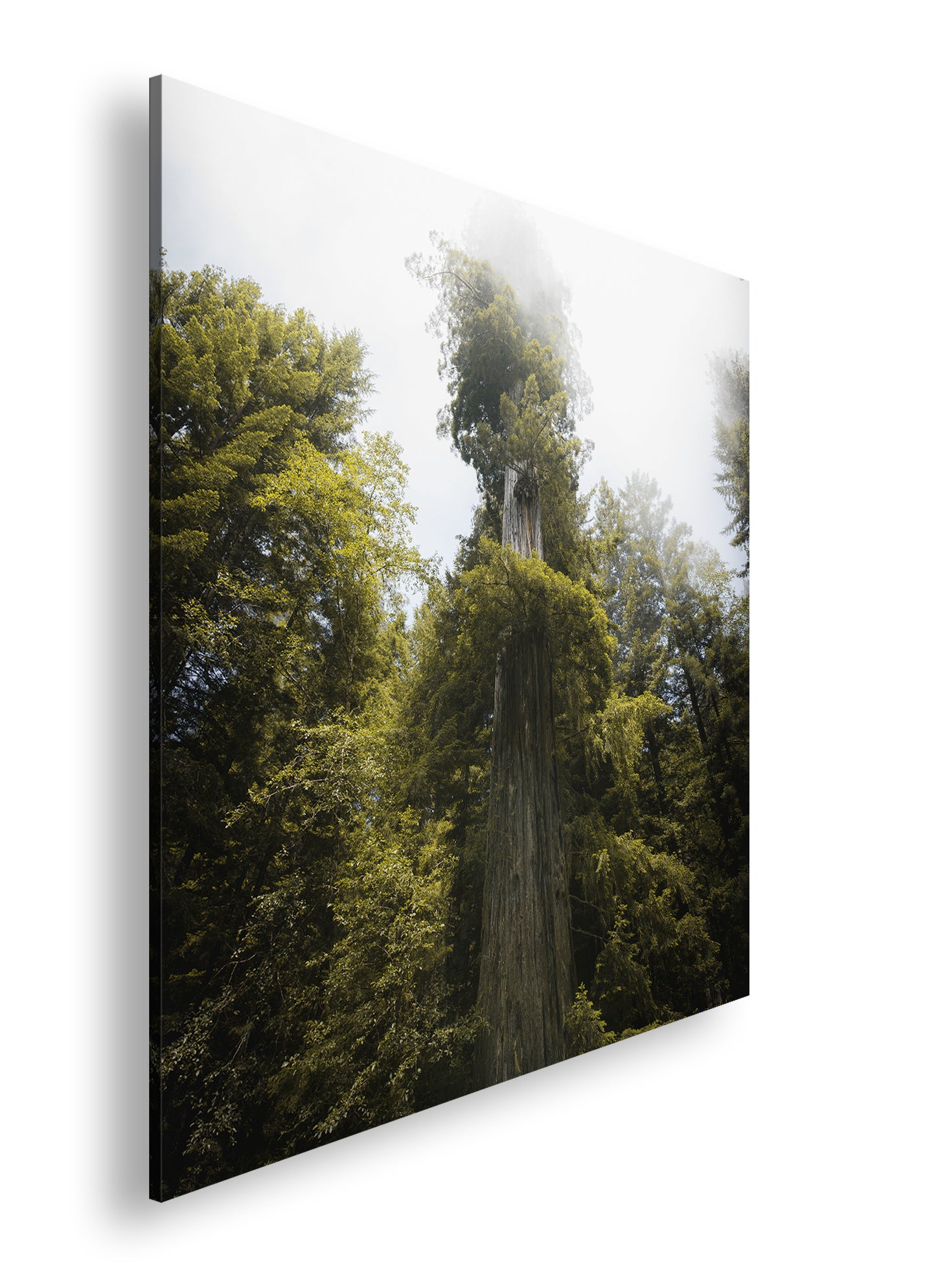 Hauptbild Farbig Quadratisch