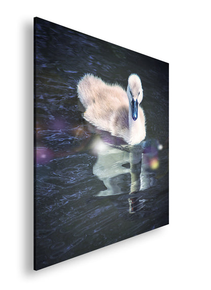 Hauptbild Farbig Quadratisch