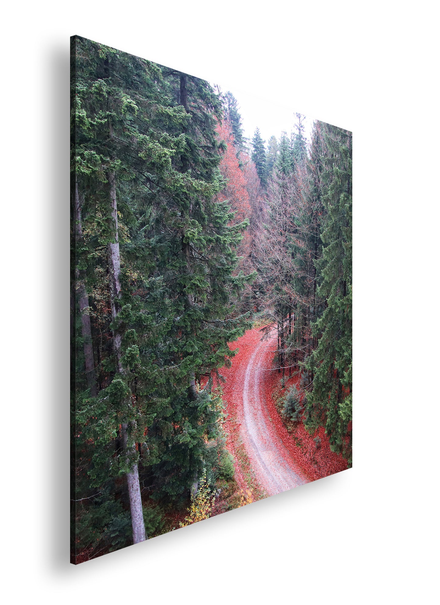 Hauptbild Farbig Quadratisch