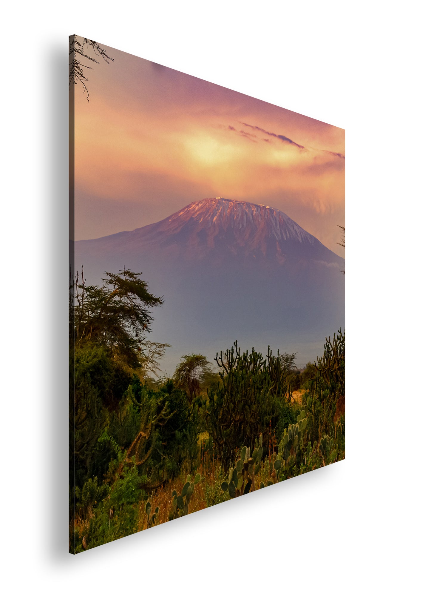 Hauptbild Farbig Quadratisch