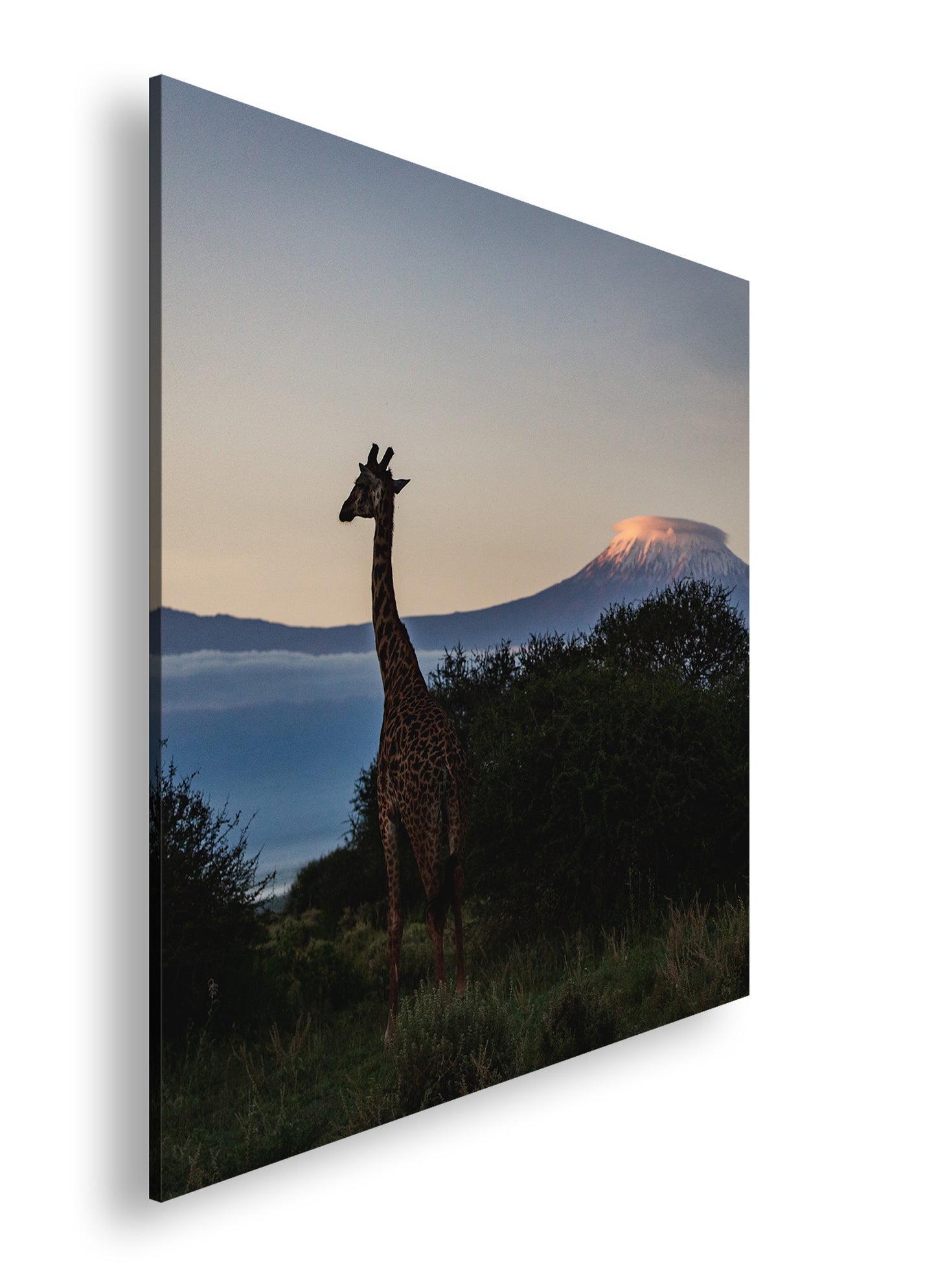 Hauptbild Farbig Quadratisch