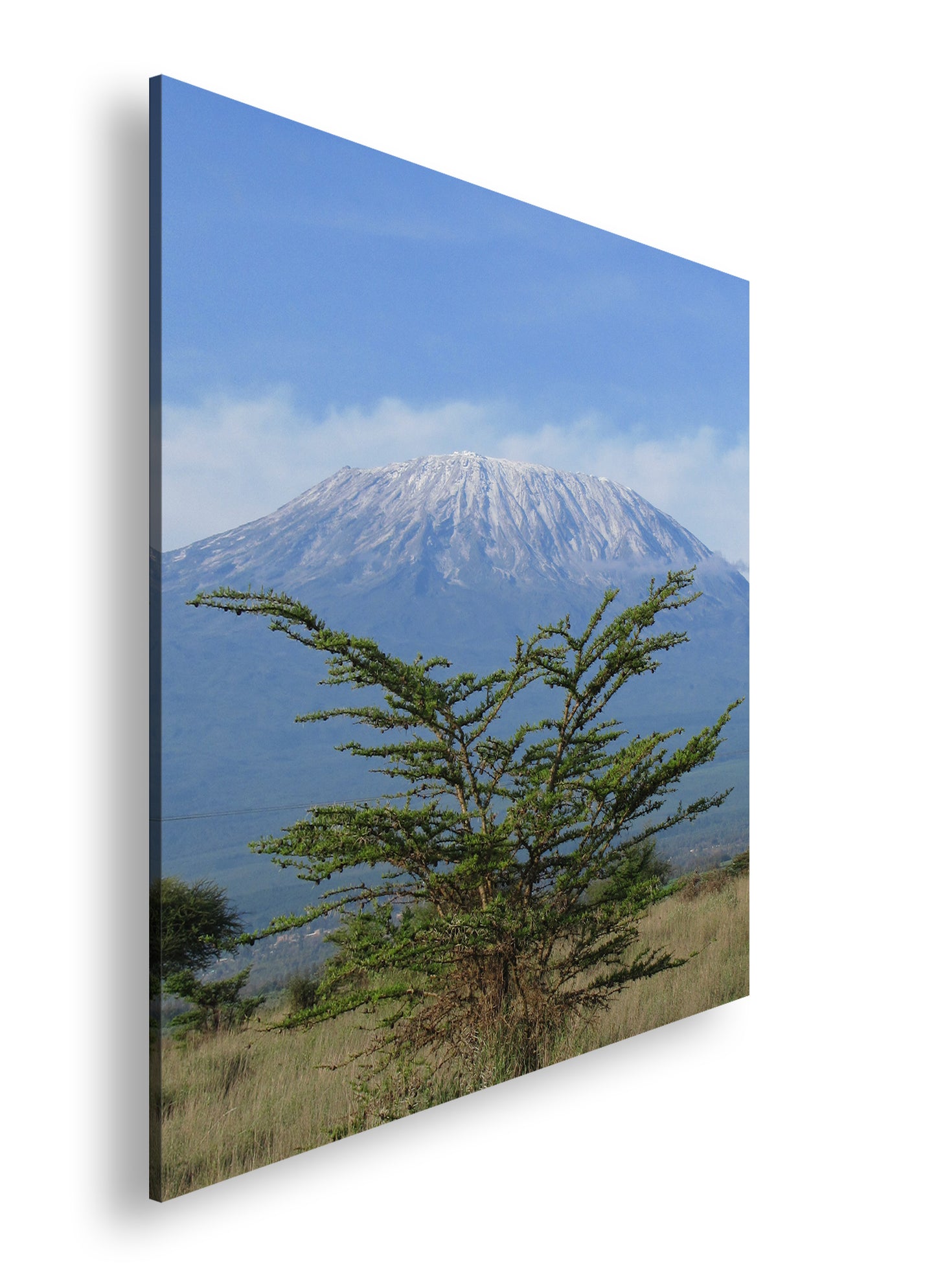 Hauptbild Farbig Quadratisch