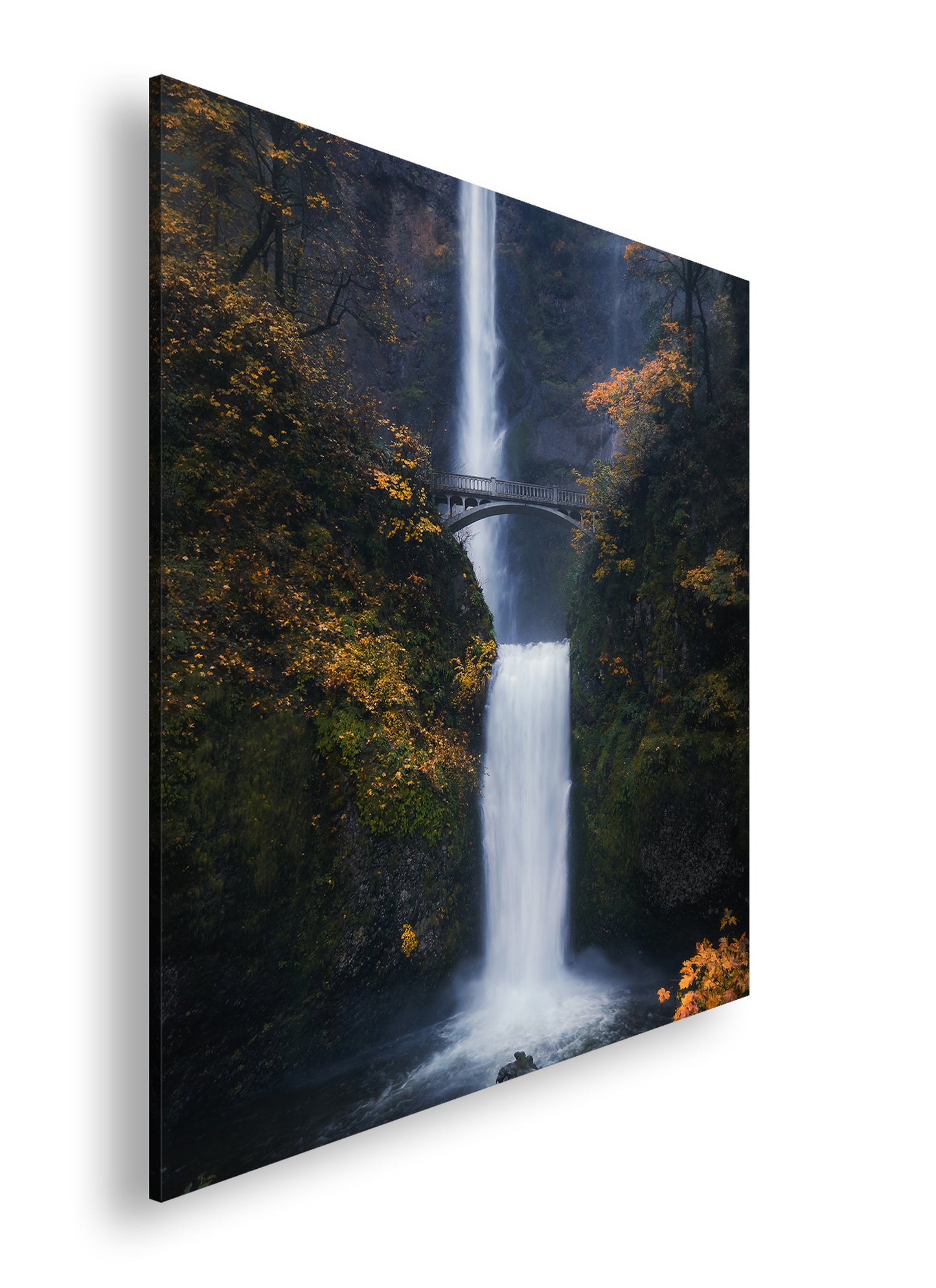 Hauptbild Farbig Quadratisch