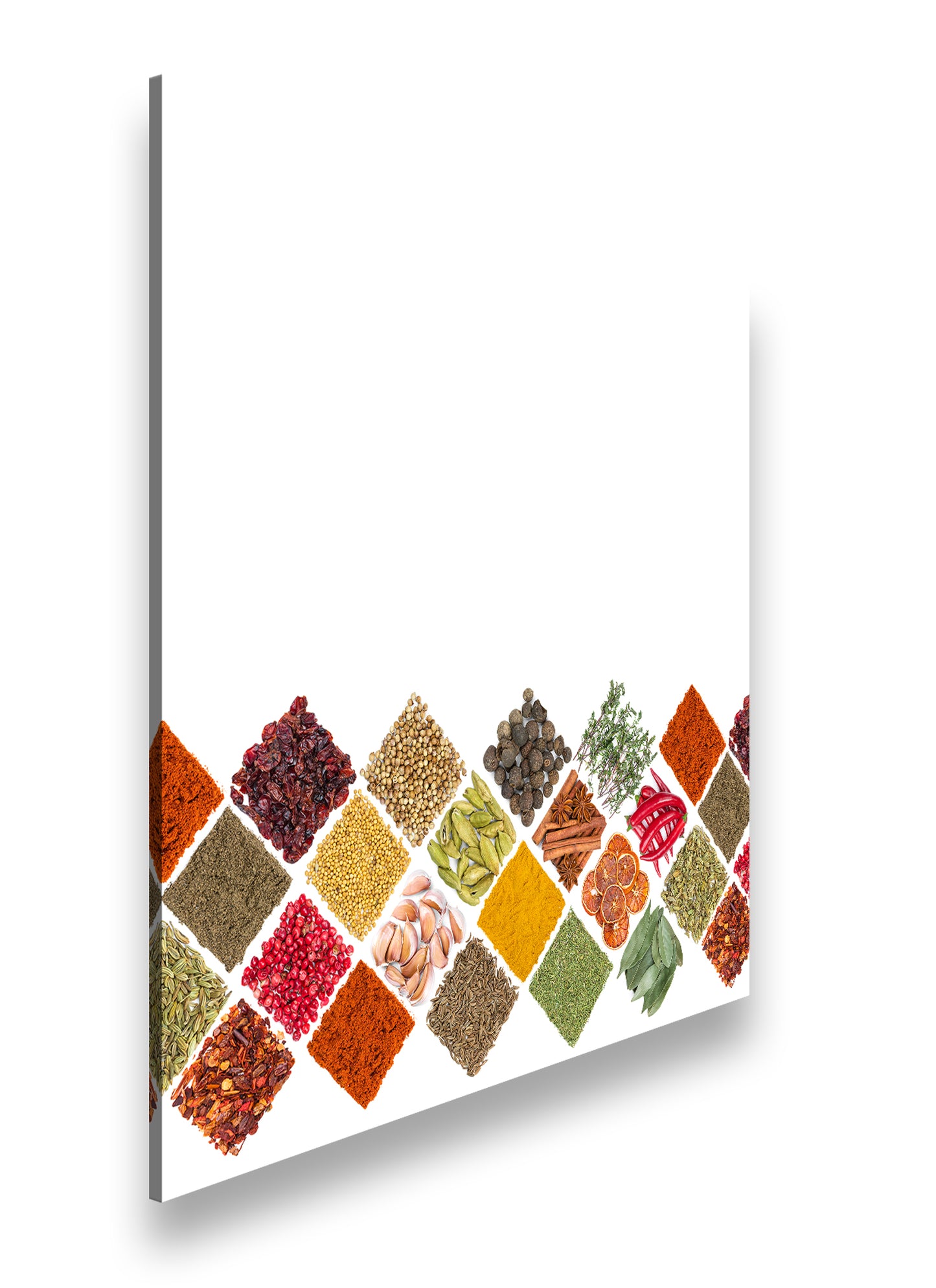 Hauptbild Farbig Quadratisch