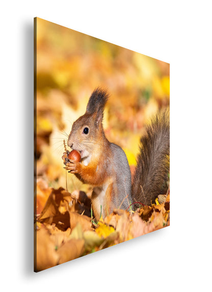 Hauptbild Farbig Quadratisch