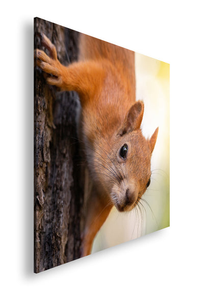 Hauptbild Farbig Quadratisch