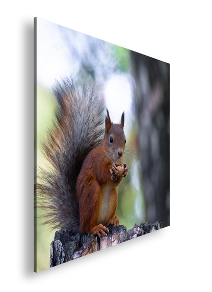 Hauptbild Farbig Quadratisch