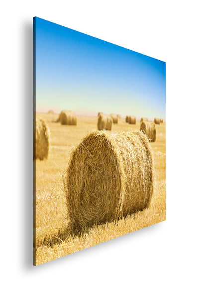 Hauptbild Farbig Quadratisch