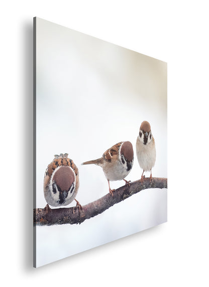 Hauptbild Farbig Quadratisch