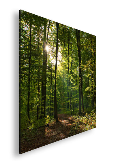 Hauptbild Farbig Quadratisch