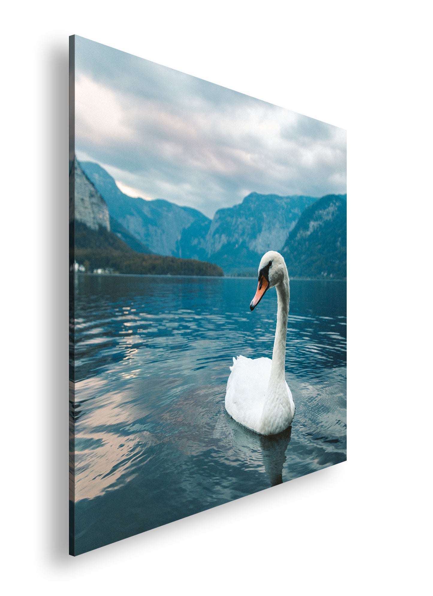 Hauptbild Farbig Quadratisch