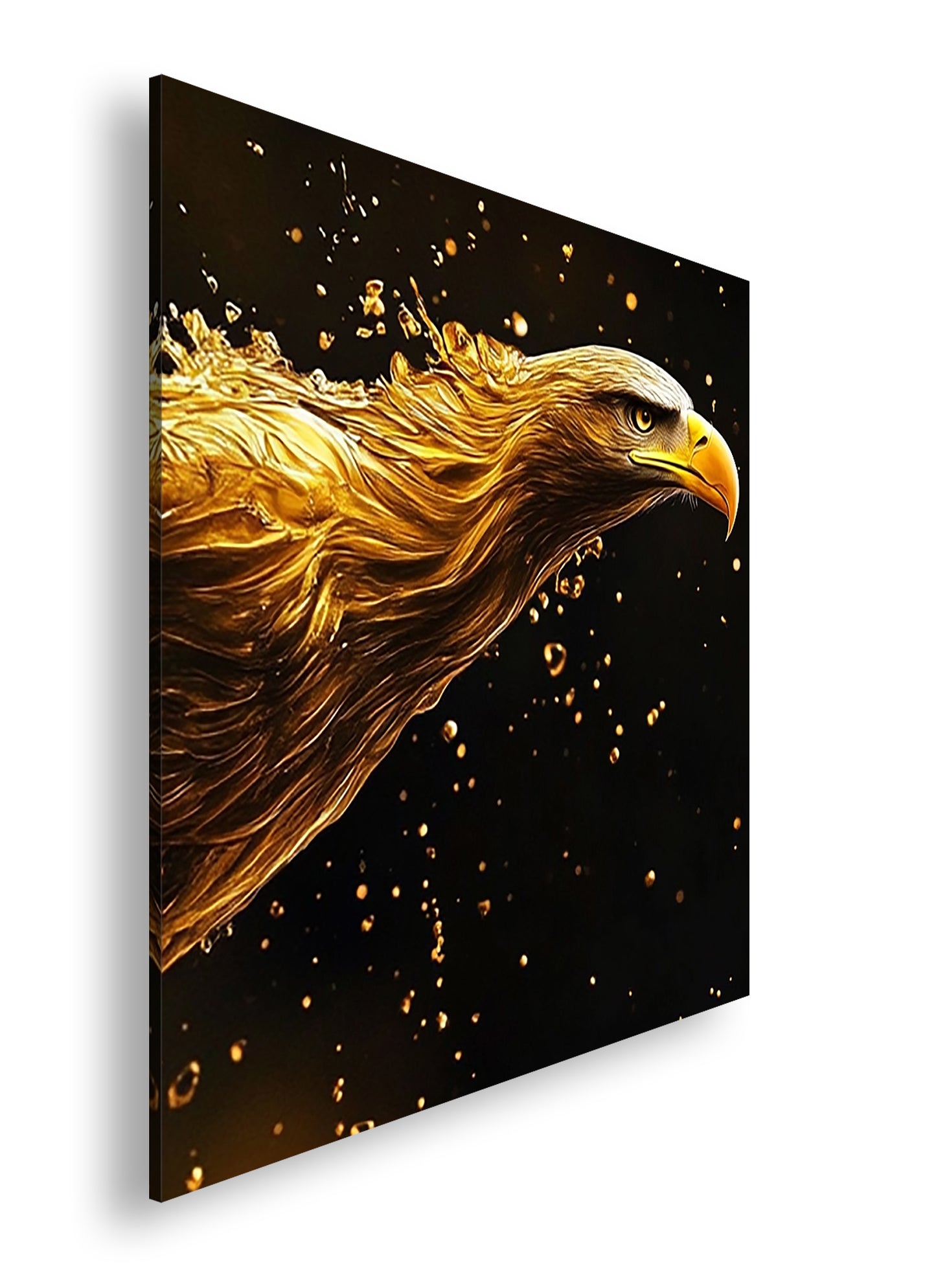 Hauptbild Farbig Quadratisch