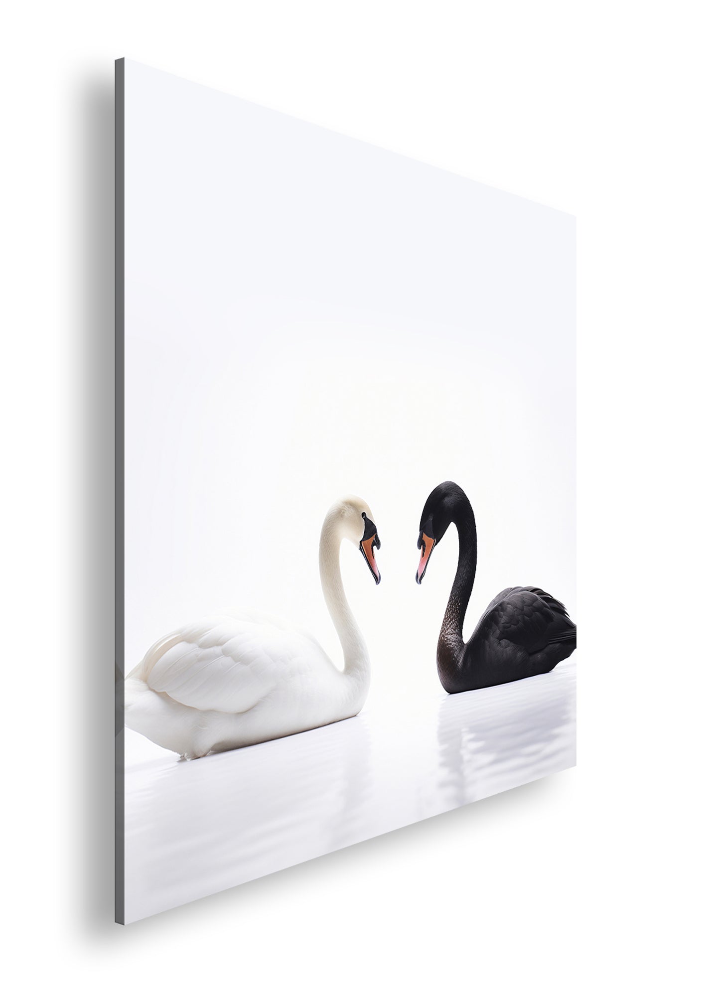 Hauptbild Farbig Quadratisch