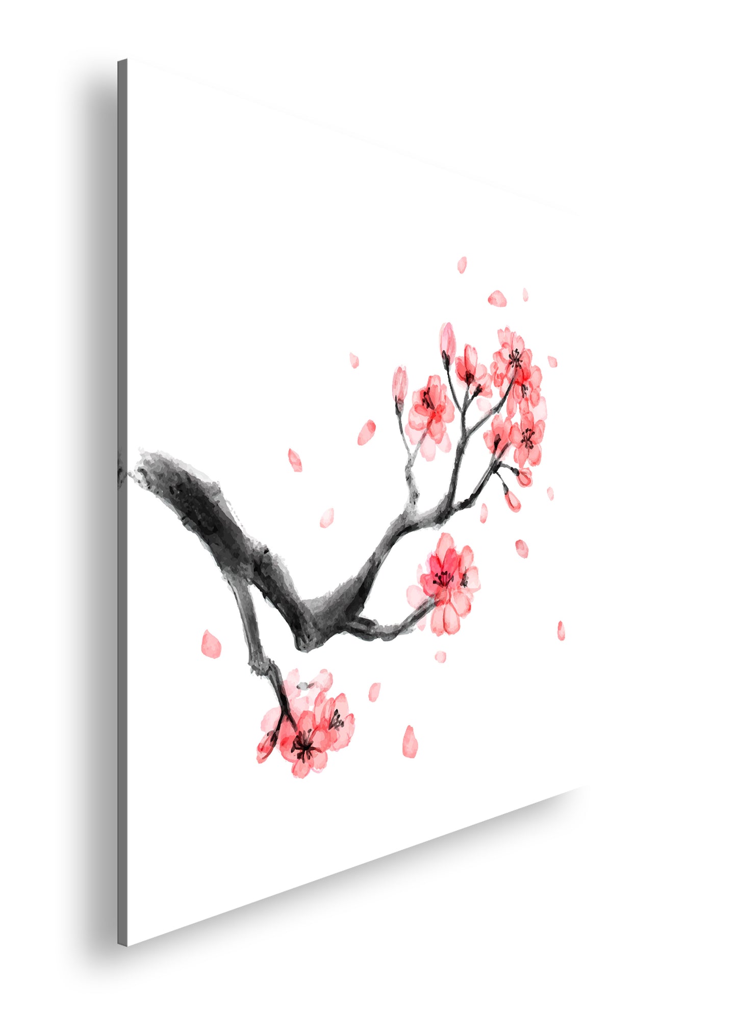 Hauptbild Farbig Quadratisch