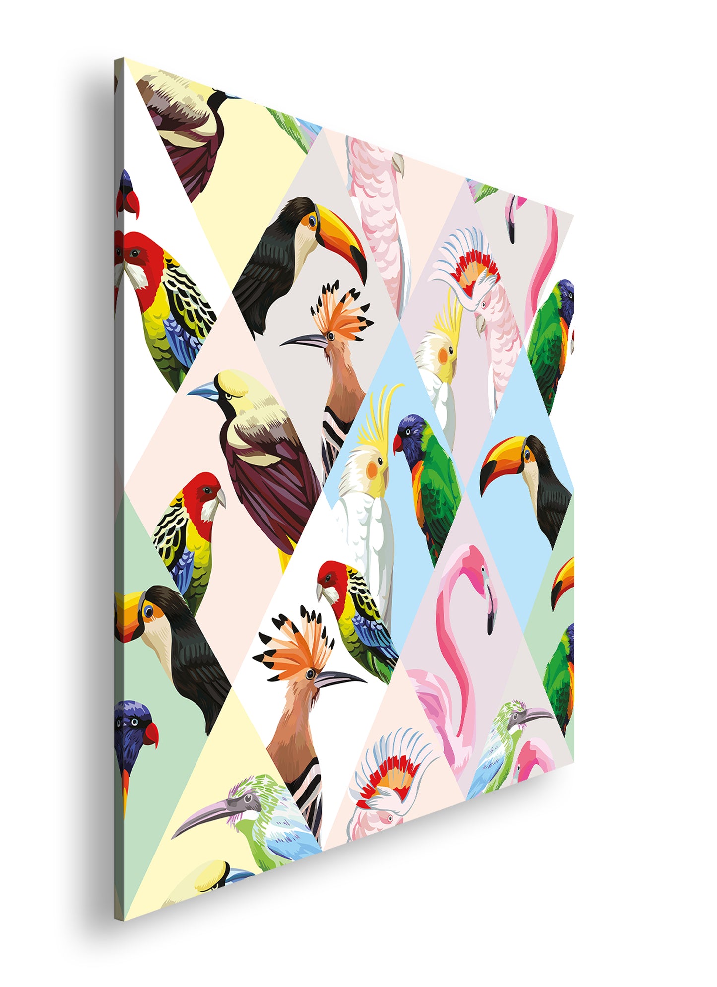 Hauptbild Farbig Quadratisch