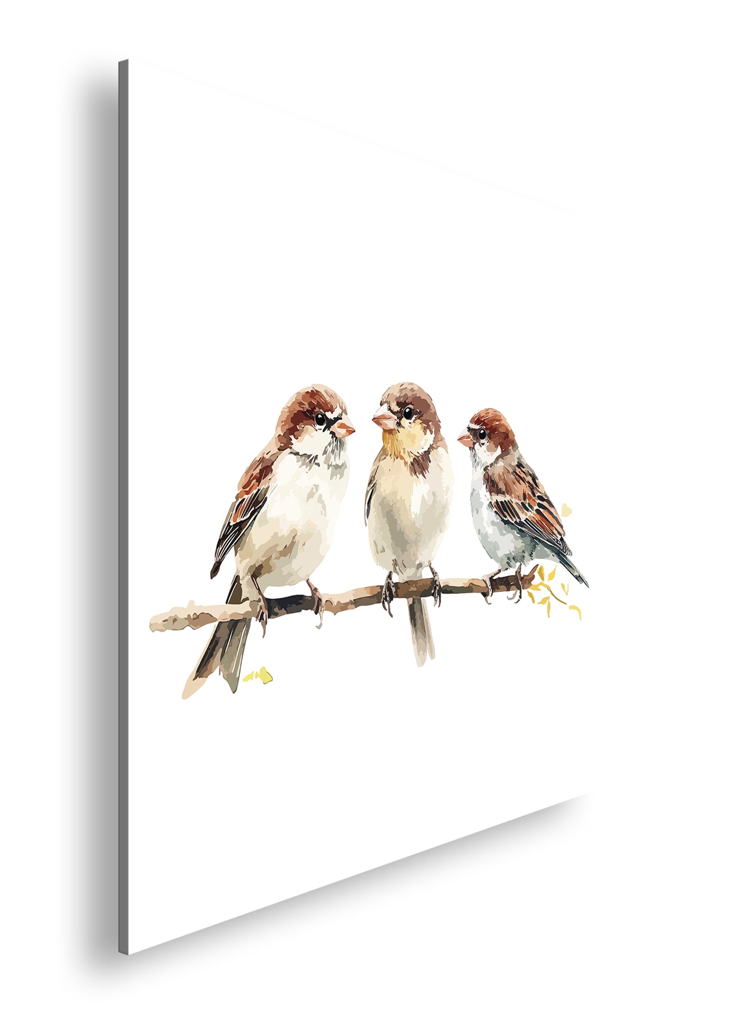 Hauptbild Farbig Quadratisch