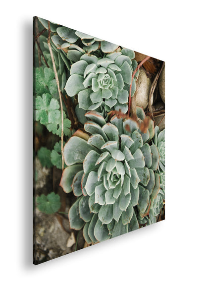 Hauptbild Farbig Quadratisch