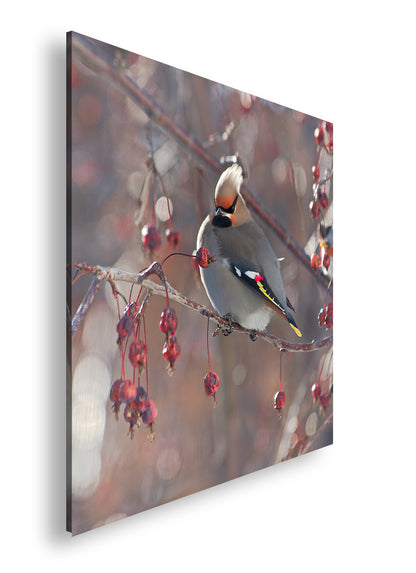 Hauptbild Farbig Quadratisch