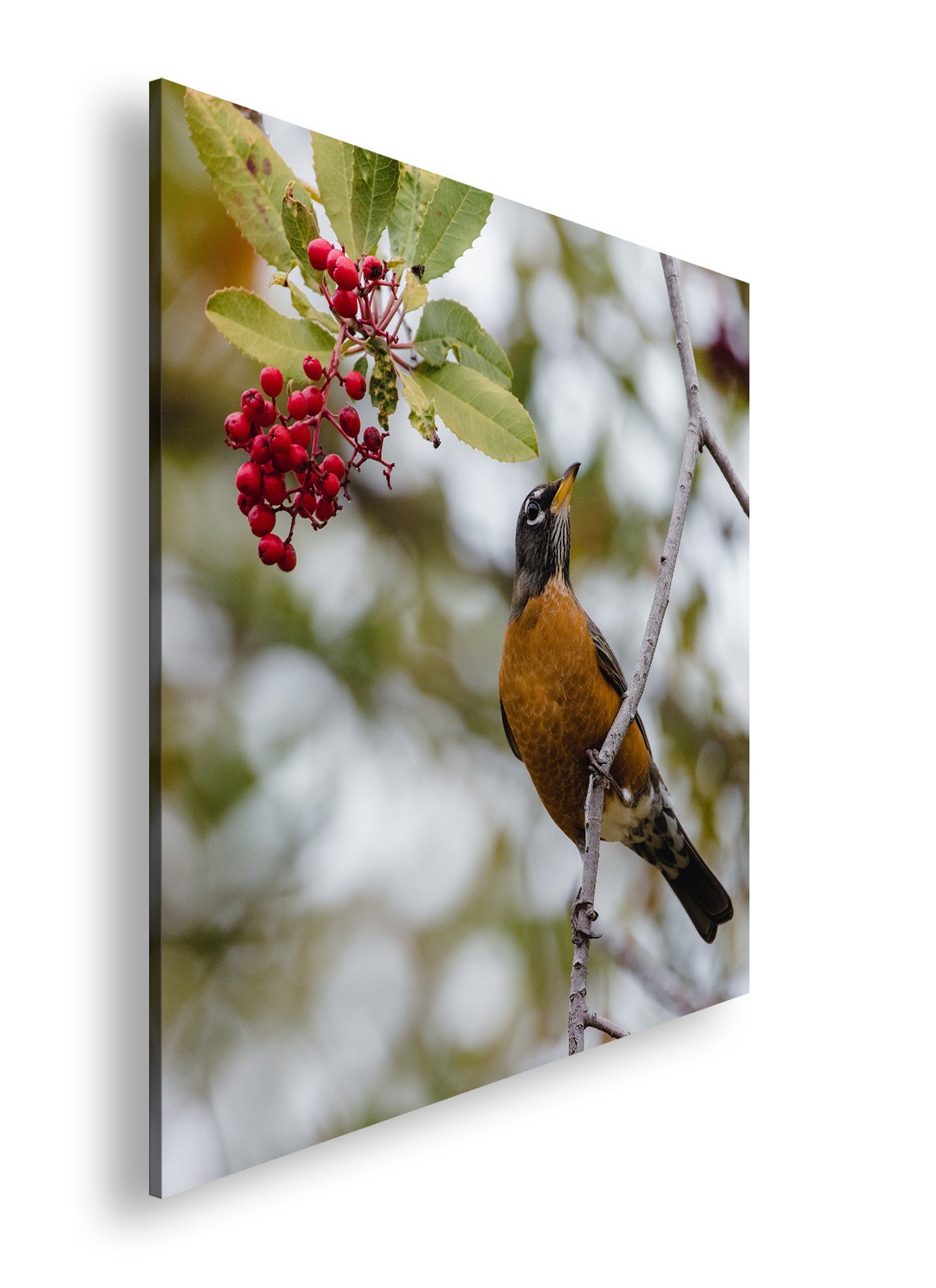 Hauptbild Farbig Quadratisch