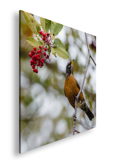 Hauptbild Farbig Quadratisch