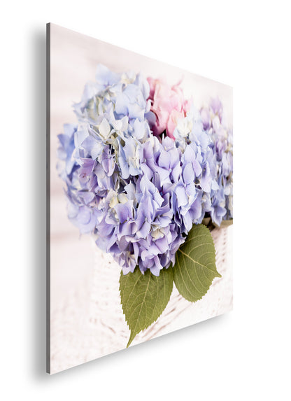 Hauptbild Farbig Quadratisch