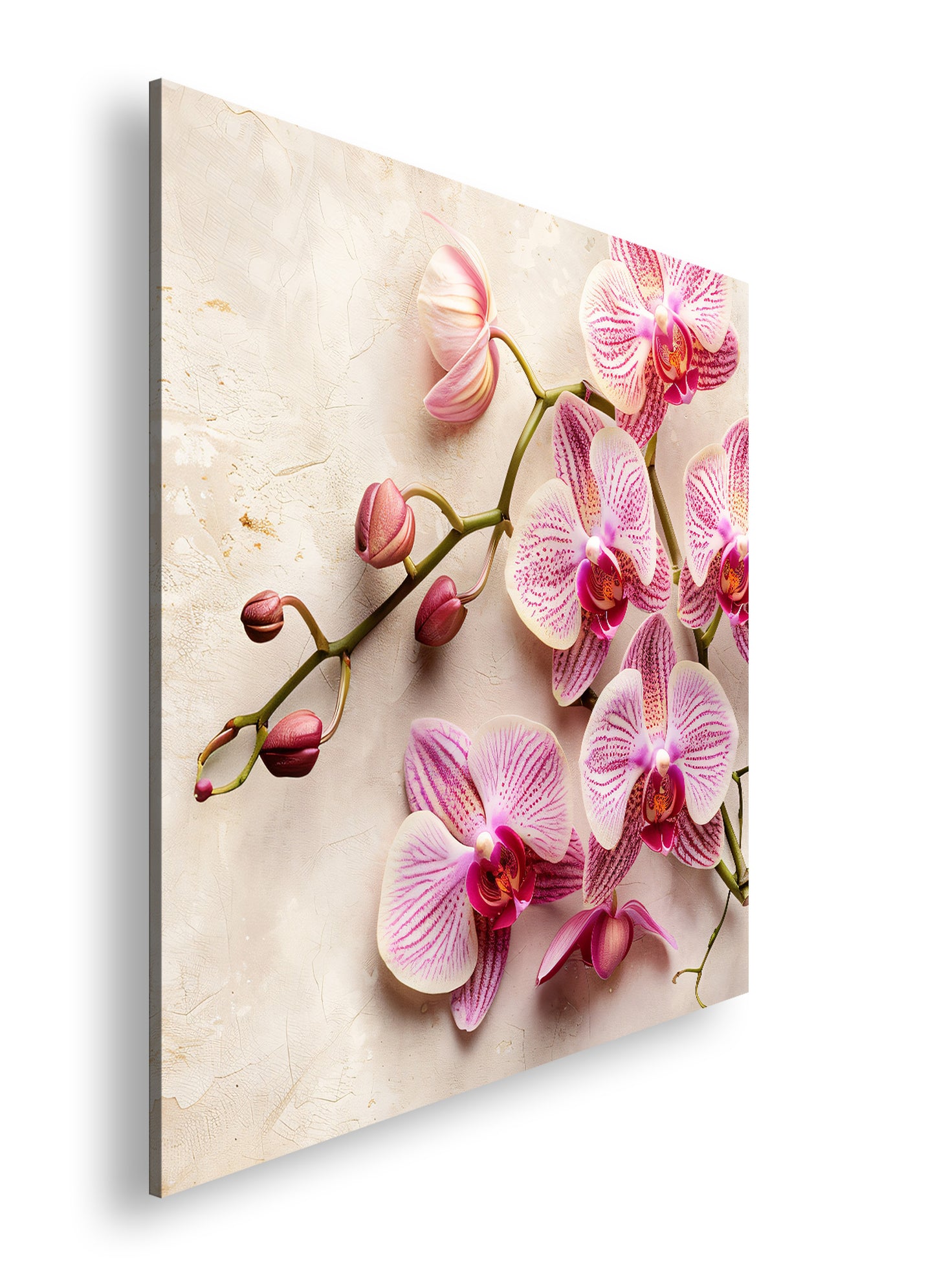 Hauptbild Farbig Quadratisch