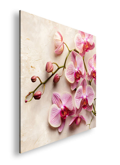 Hauptbild Farbig Quadratisch