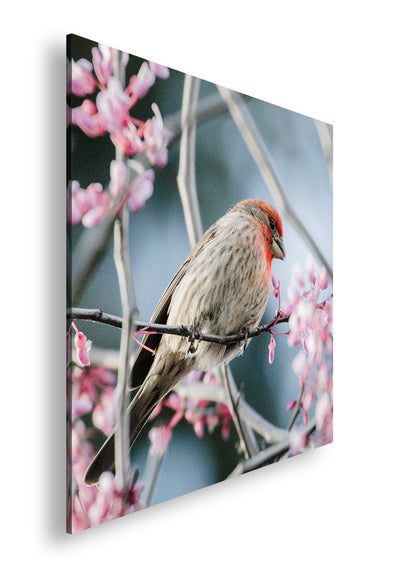 Hauptbild Farbig Quadratisch