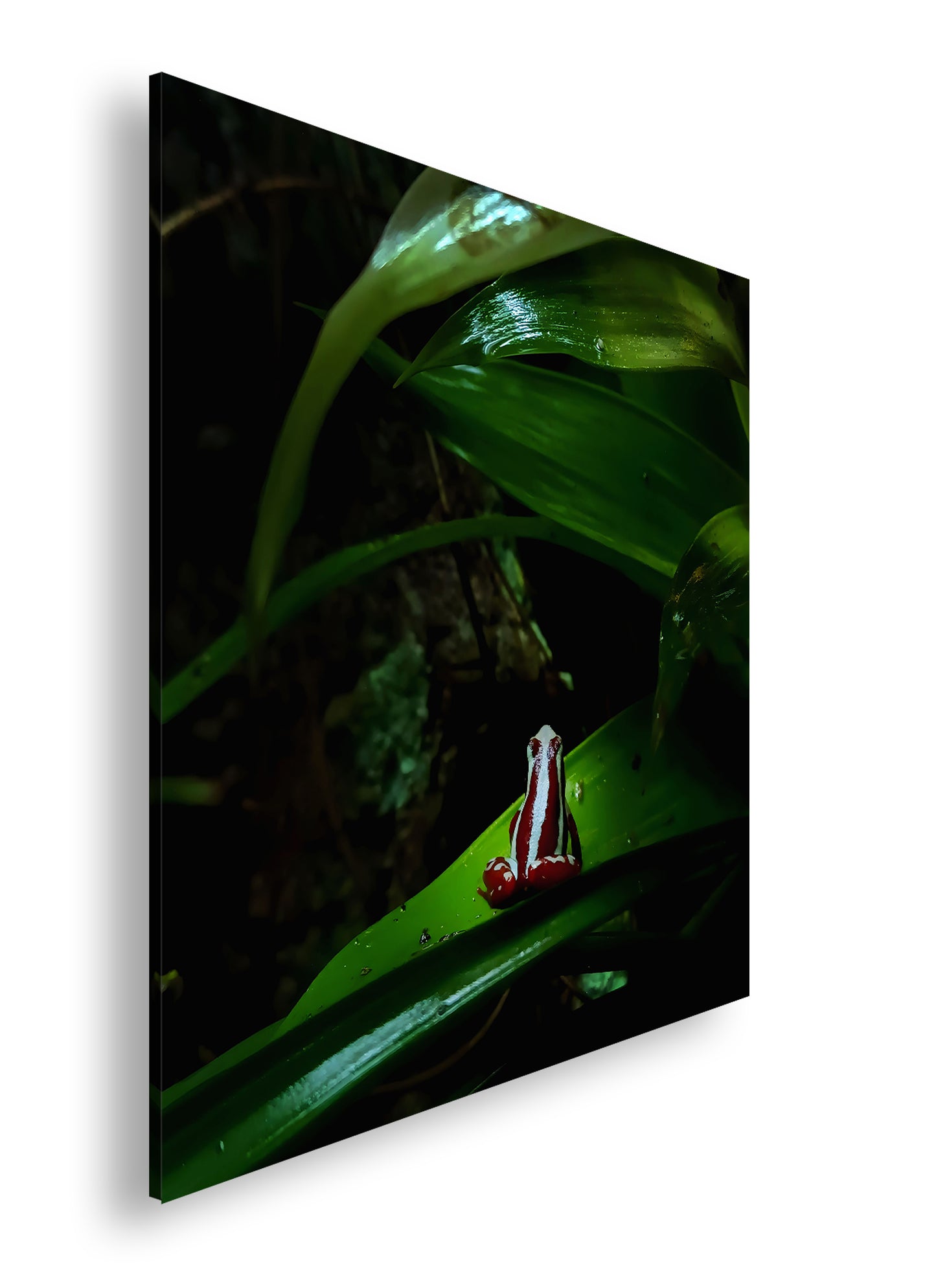 Hauptbild Farbig Quadratisch