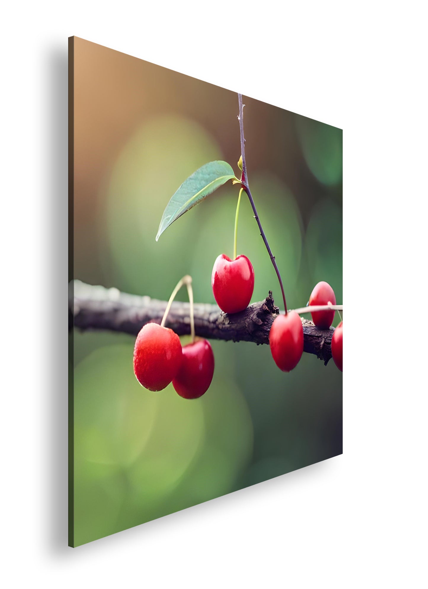 Hauptbild Farbig Quadratisch