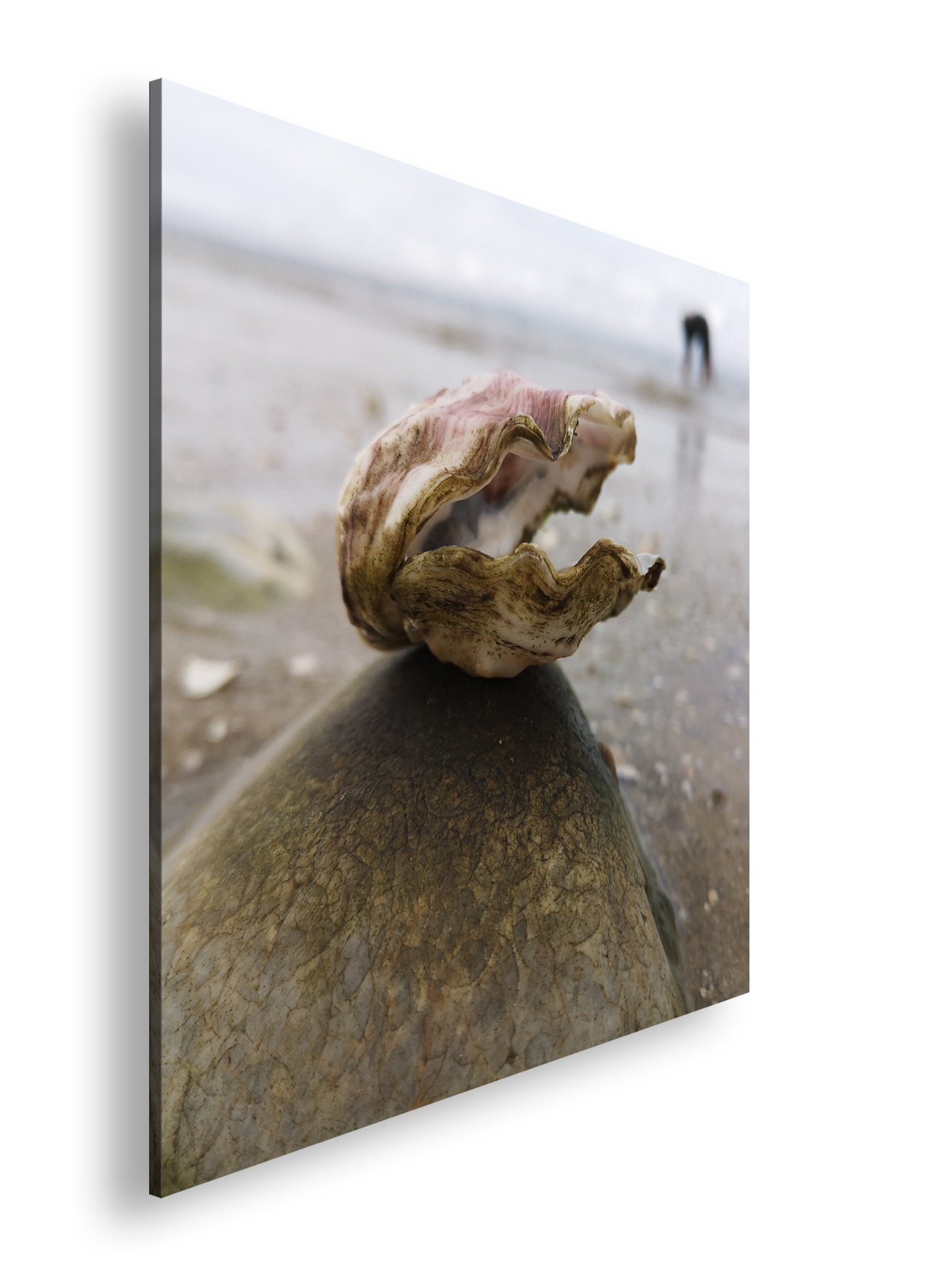 Hauptbild Farbig Quadratisch