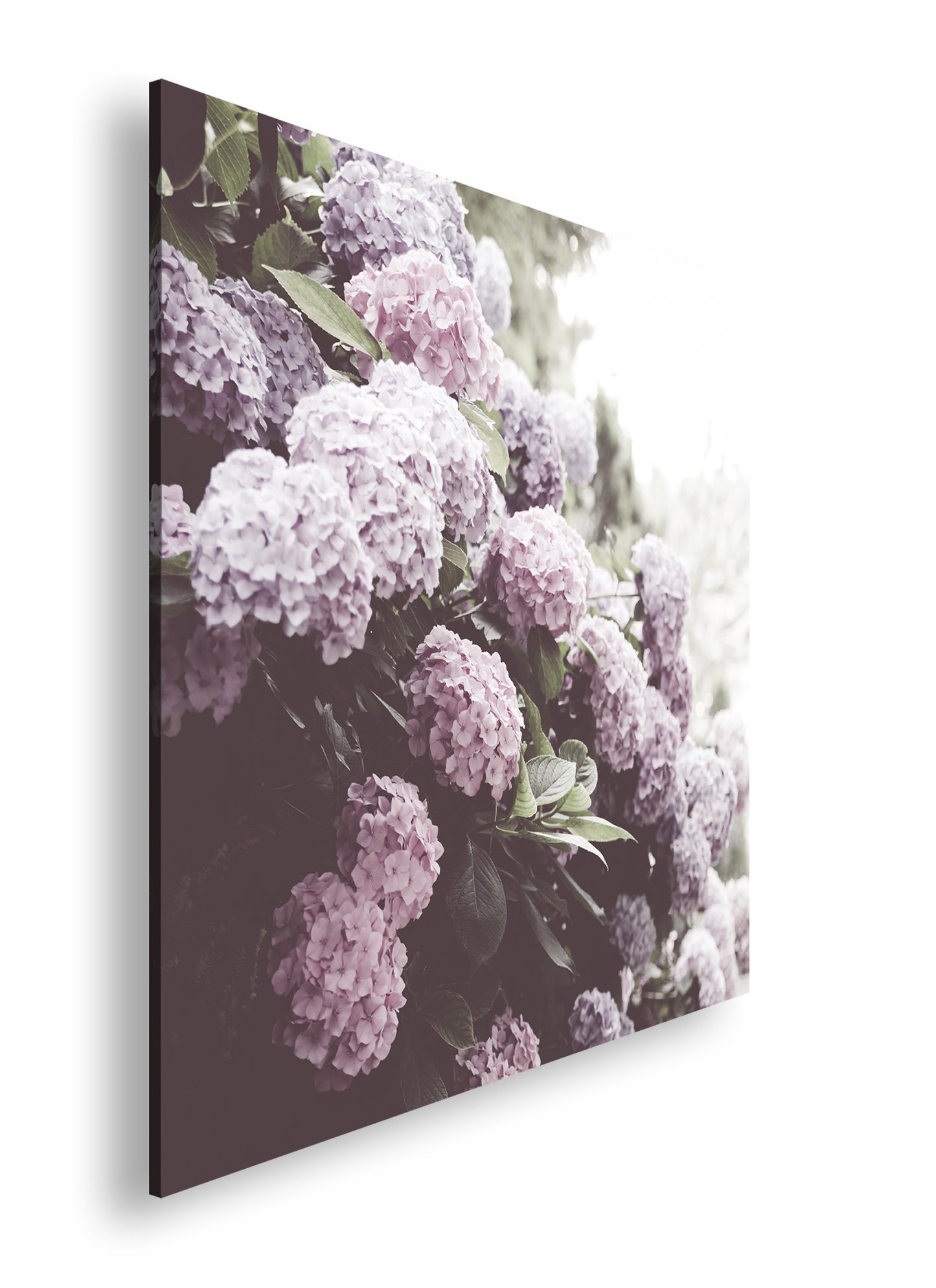 Hauptbild Farbig Quadratisch