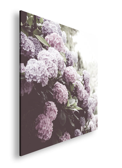 Hauptbild Farbig Quadratisch