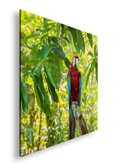 Hauptbild Farbig Quadratisch