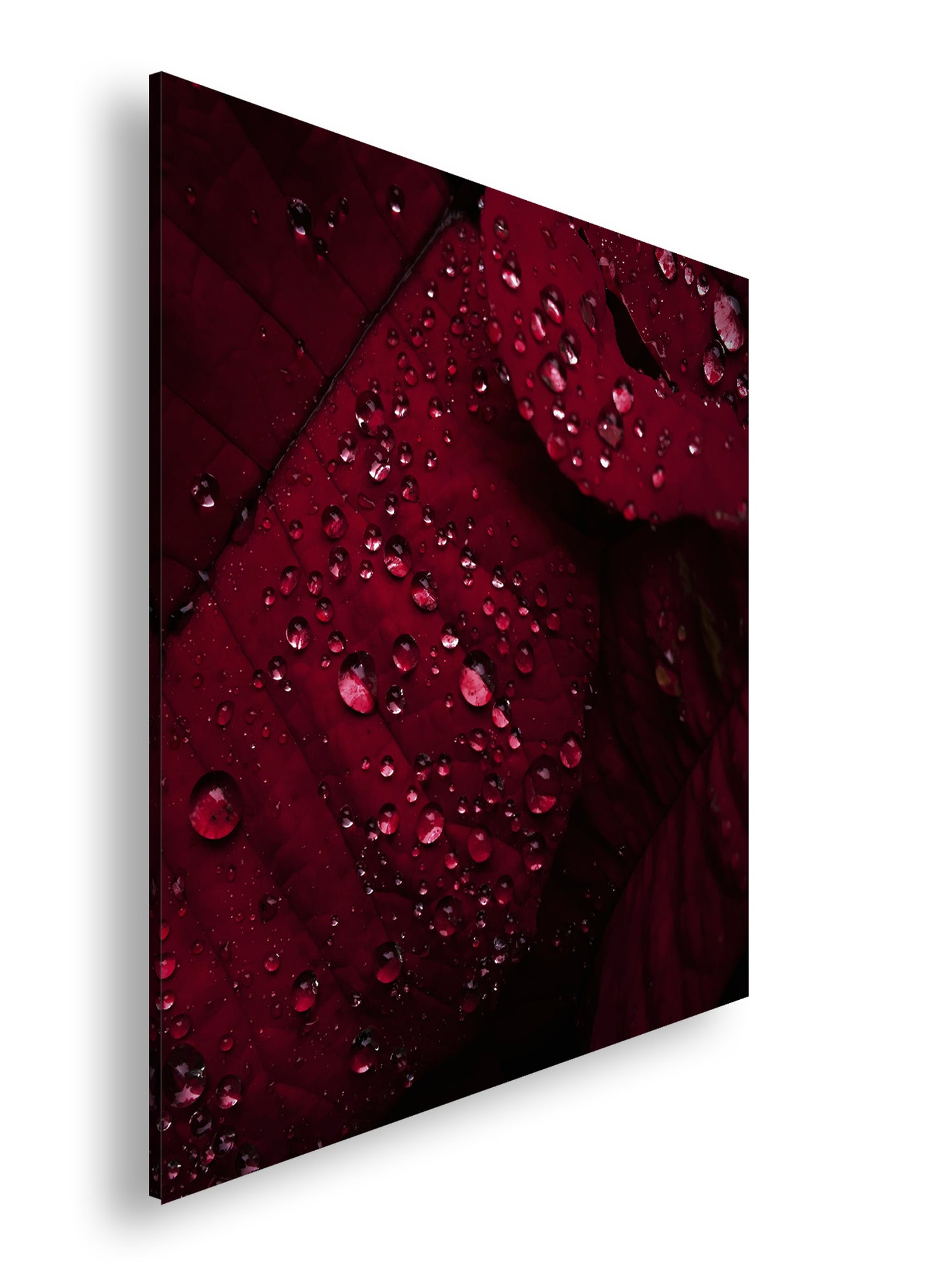 Hauptbild Farbig Quadratisch