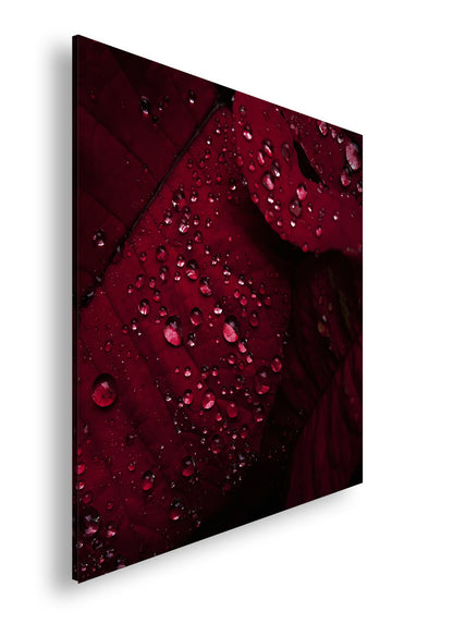 Hauptbild Farbig Quadratisch