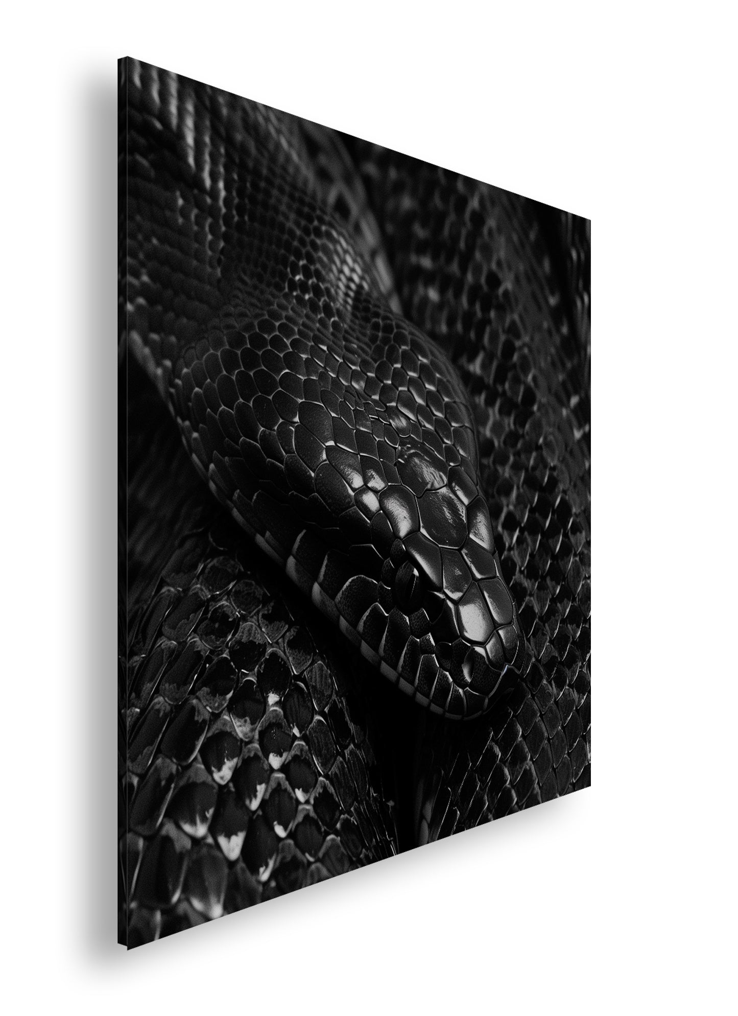 Hauptbild Farbig Quadratisch