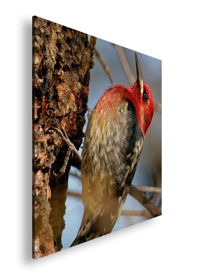 Hauptbild Farbig Quadratisch