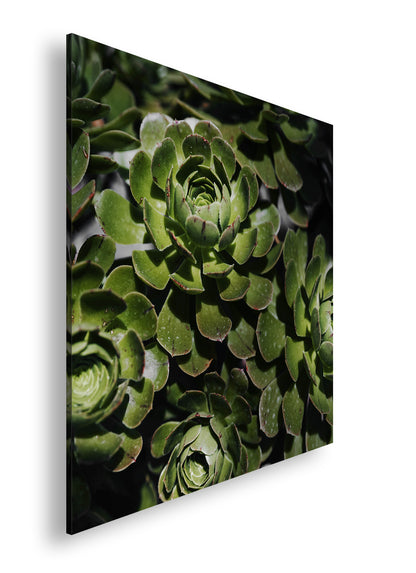 Hauptbild Farbig Quadratisch