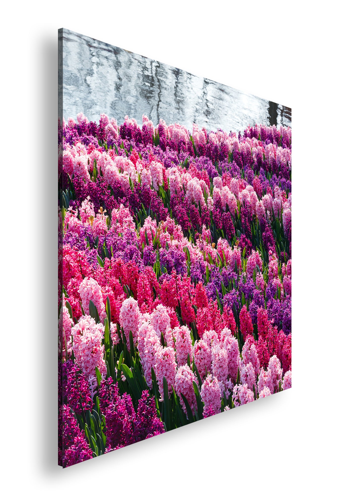 Hauptbild Farbig Quadratisch