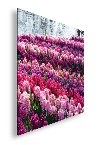 Hauptbild Farbig Quadratisch